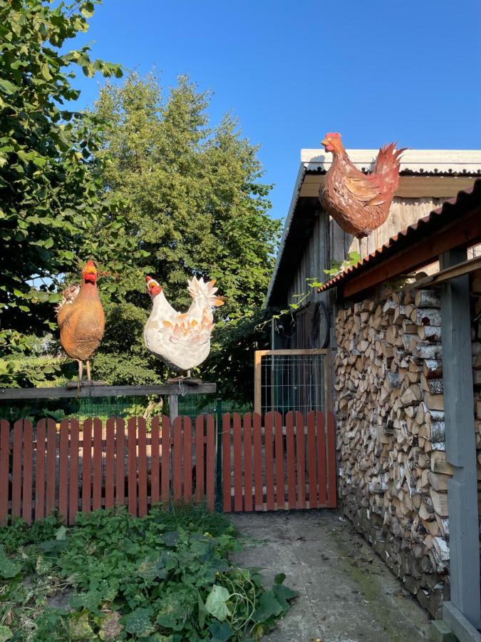 Mono House Διαμέρισμα Rusne Εξωτερικό φωτογραφία